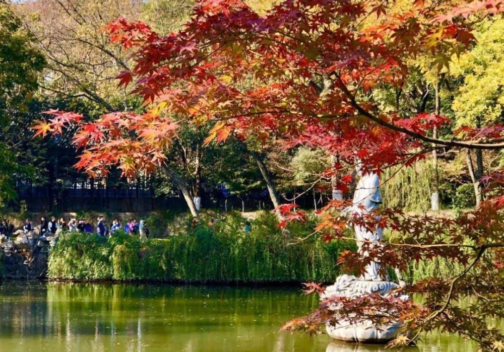 栖霞山:南京赏枫c位