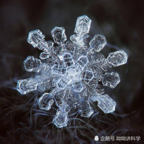 还有六角板雪花,星状雪花,柱状雪花