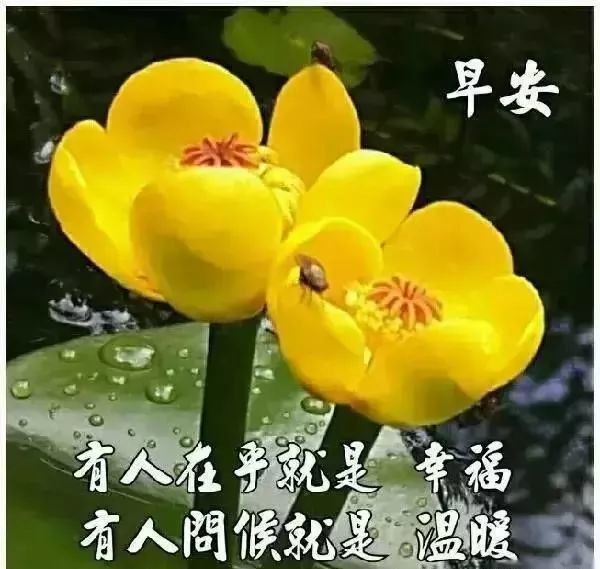 12月3日早上好问候大家最棒的祝福语录 早上好温馨祝福句子送给大家