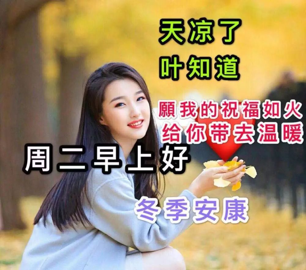 早上好鲜花祝福表情包 朋友圈早晨好图片唯美句子