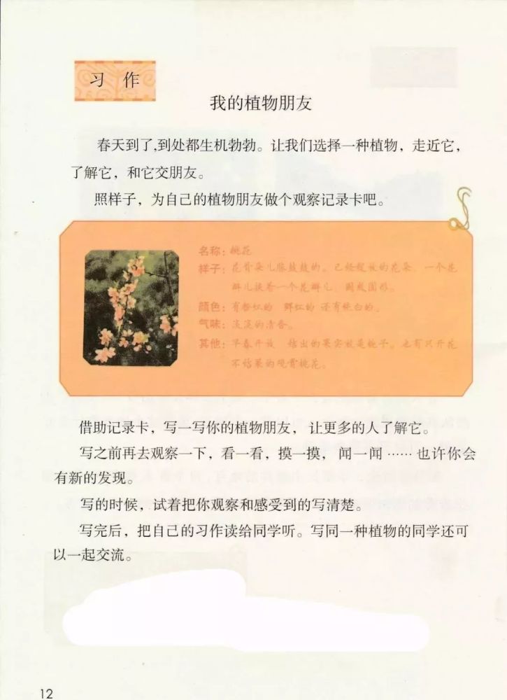 部编小学语文三年级下册第一单元习作:《我的植物朋友