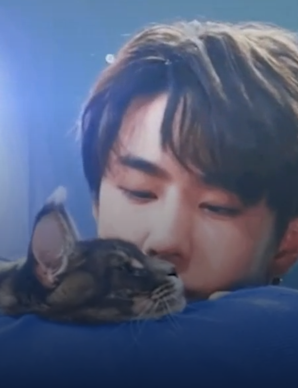 【注:本文由〖苘懂〗作者原创作品,未经允许禁止抄袭转载.侵权必究!