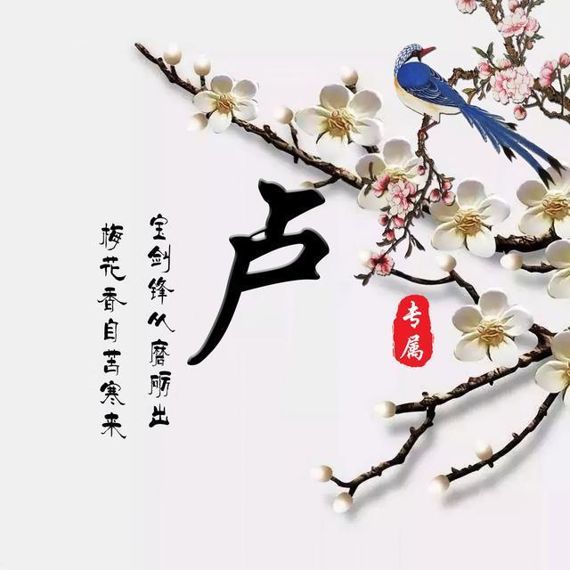 你的微信头像该换了,35张梅花百家姓氏头像,有你的姓氏吗?