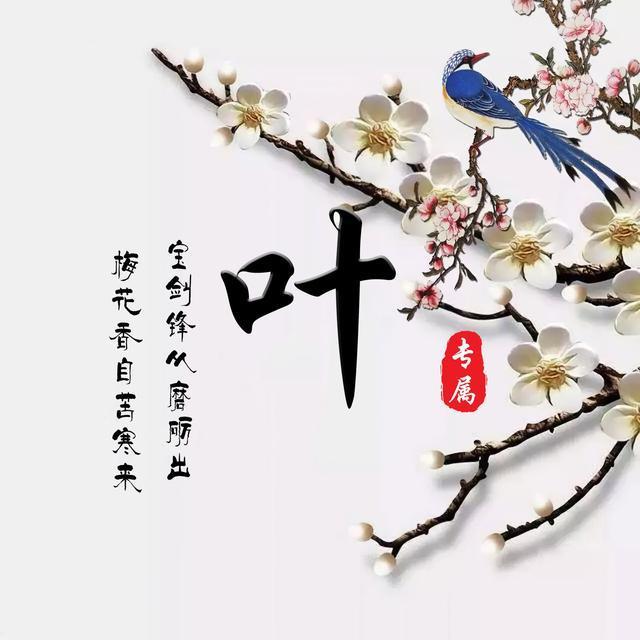 你的微信头像该换了,35张梅花百家姓氏头像,有你的姓氏吗?