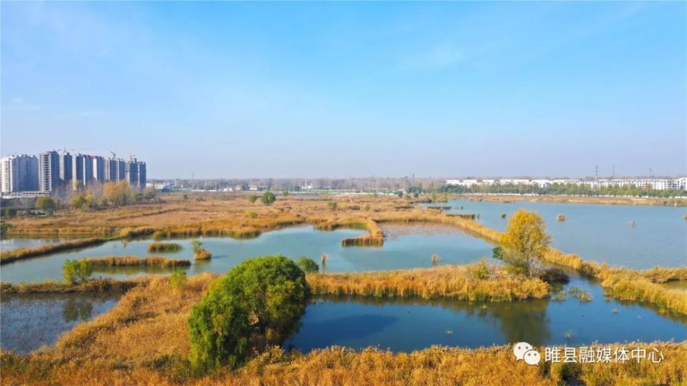 喜讯咱睢县的中原水城国家湿地公园顺利通过国家验收