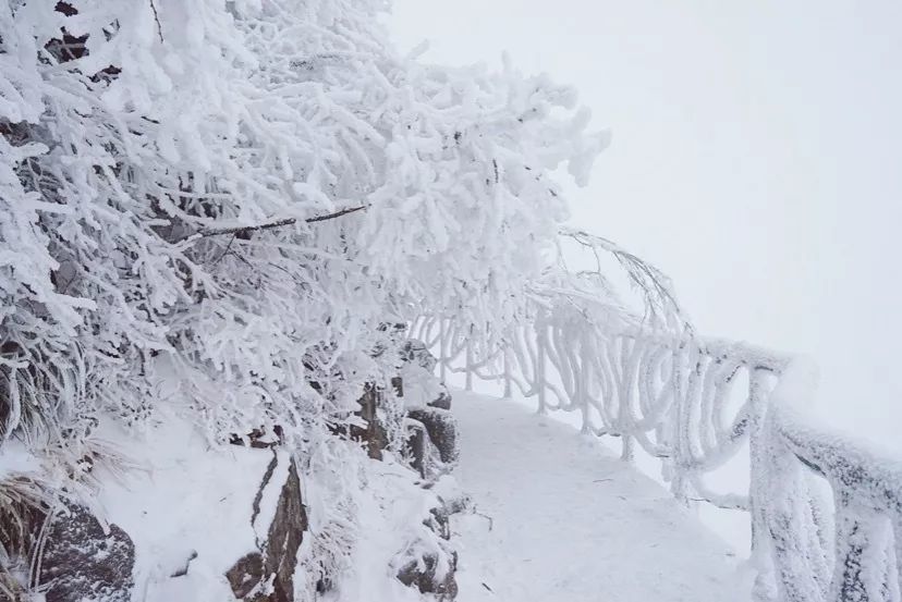 入冬成功!湾区人民看雪指南