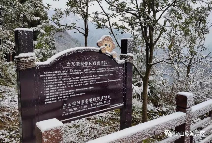 彭州下雪啦,龙门山太阳湾下雪啦!