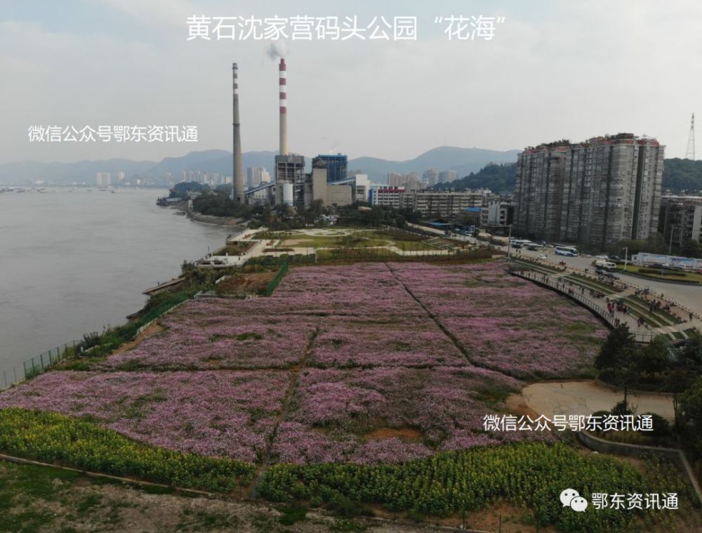 鄂东资讯通 黄石,鄂州(花湖),黄冈最有用的信息平台!