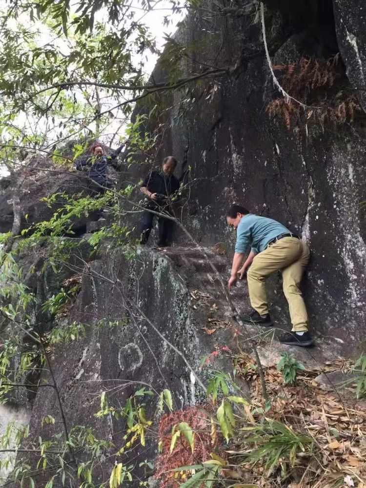 走进"中藻亭"旁约100米处的山岩中,便来到刘中藻读易悟道的"东山雪洞"