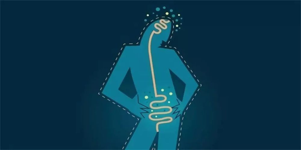 肠道菌群与睡眠:睡不好会有什么影响?