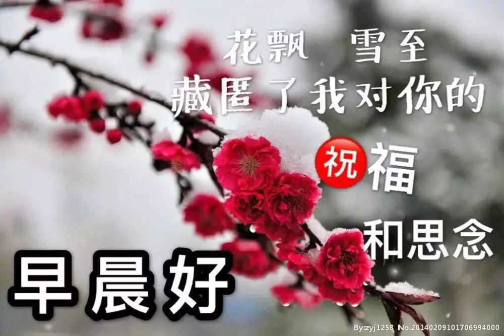2021冬日天冷了注意保暖早上好表情图片 冬天的早安问候动态图片表情