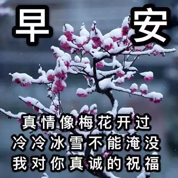 2021年最新下雪天冷问候动画图片,天冷早上好祝福语句正能量句子