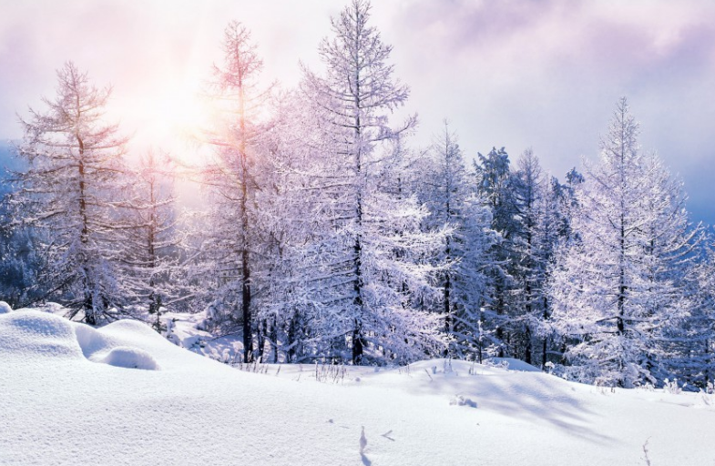 唯美的冬日雪景,秀美如画,风景迷人