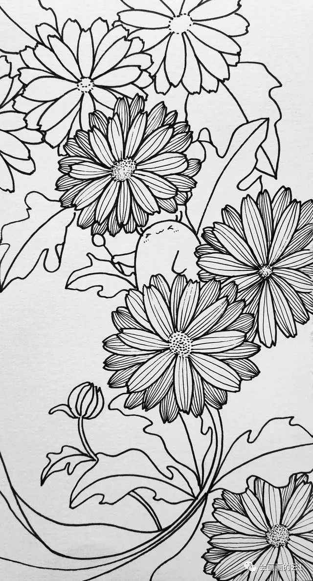 005号针管笔画细节,用点表示雏菊的花蕊,花瓣内部的线条不用画很多