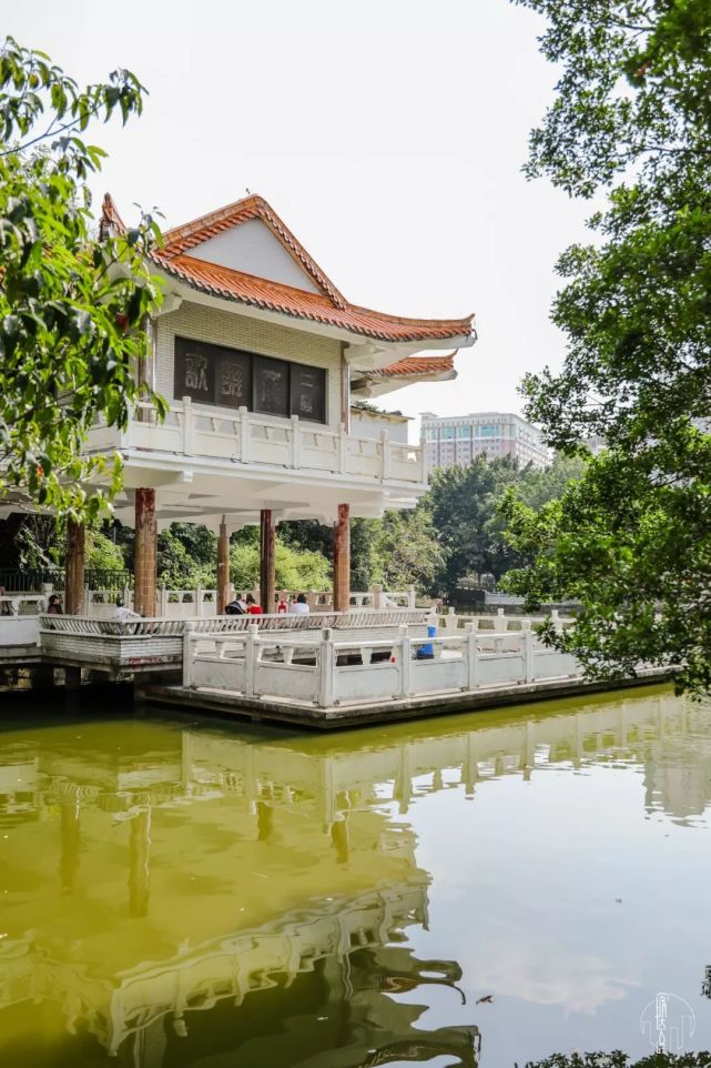 如今的布吉公园每天依旧很多人,是爷爷奶奶们锻炼休闲的地方,一样的