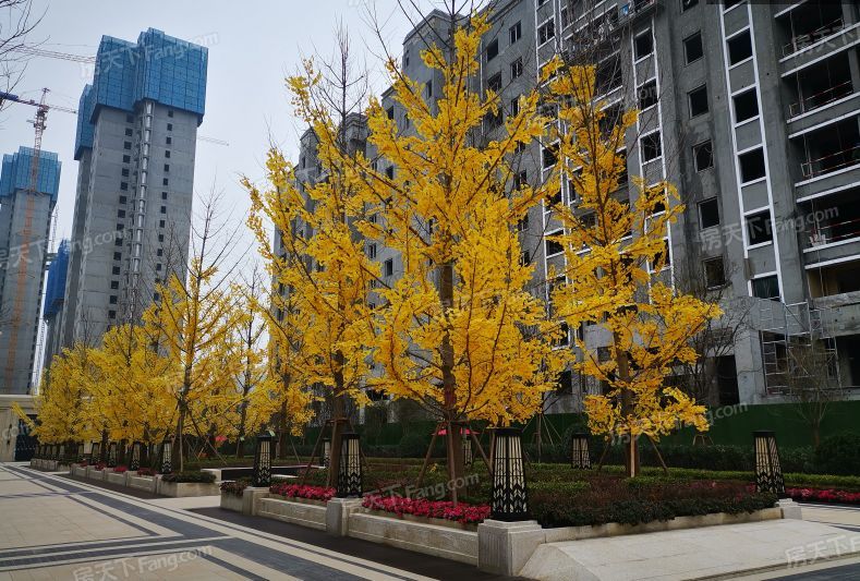 中海长安府实景图