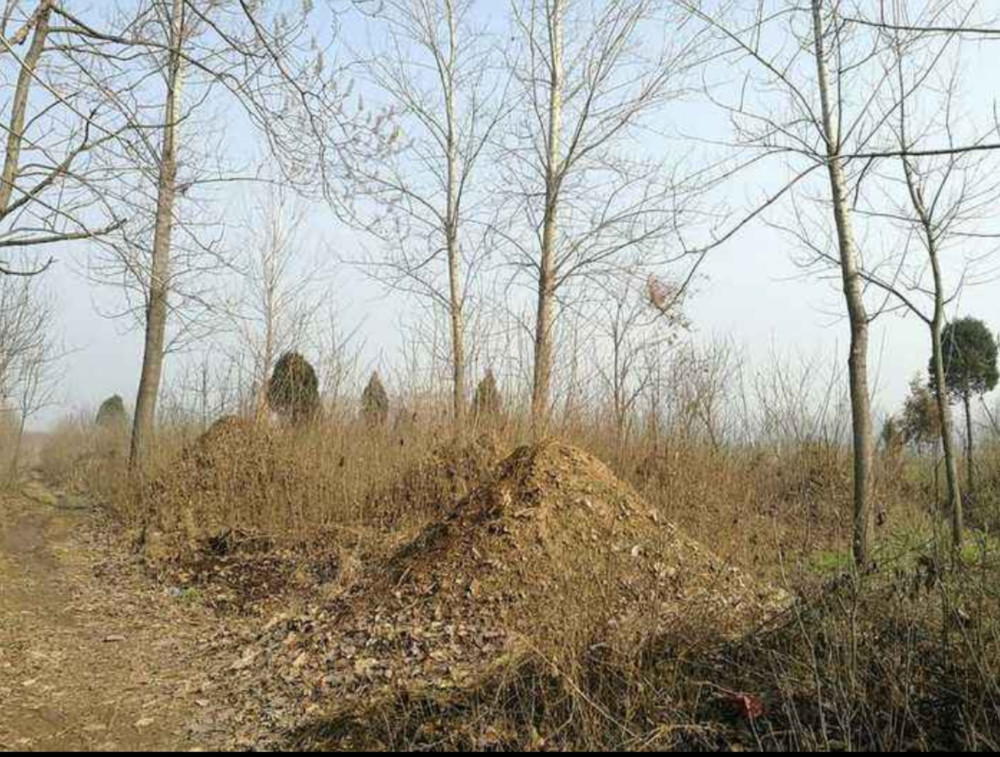 农村的坟地,人在下面埋着,为什么地面上还堆个小土堆?