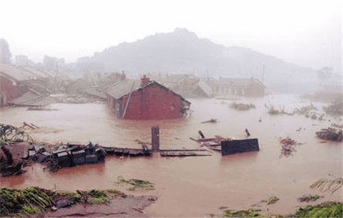 1998年长江发洪水,那个抱树9小时后被救的7岁女孩,现在过的如何?
