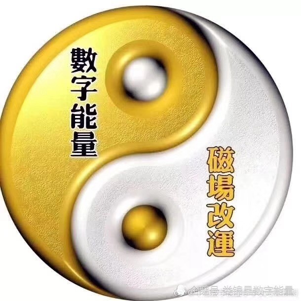 数字组合317磁场分析