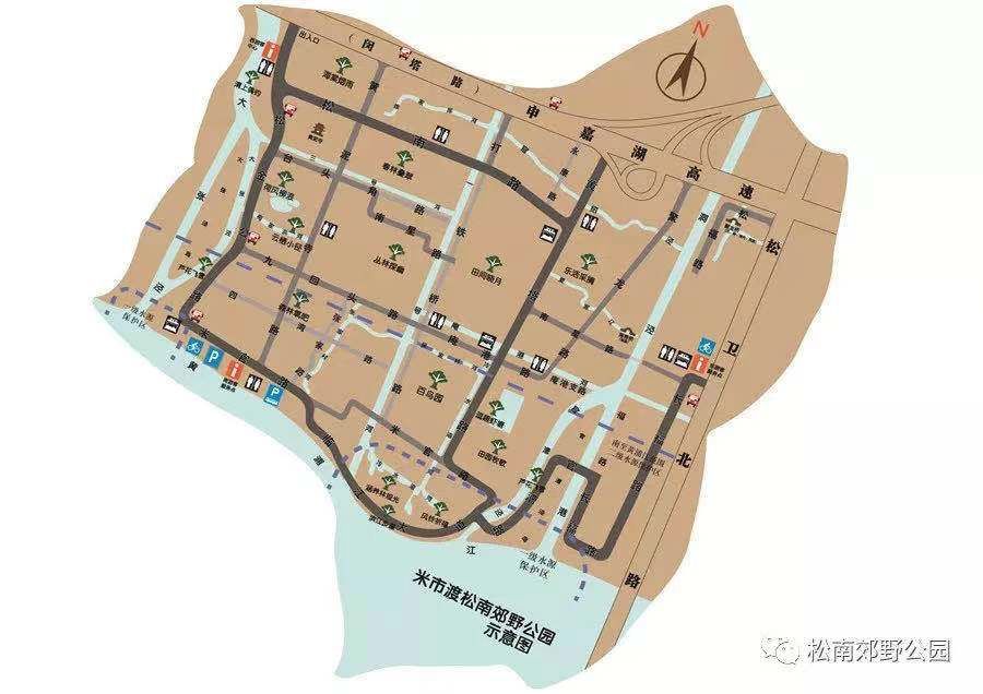 松江这两个郊野公园美到爆棚,竟然还免费,出片率百分之两百