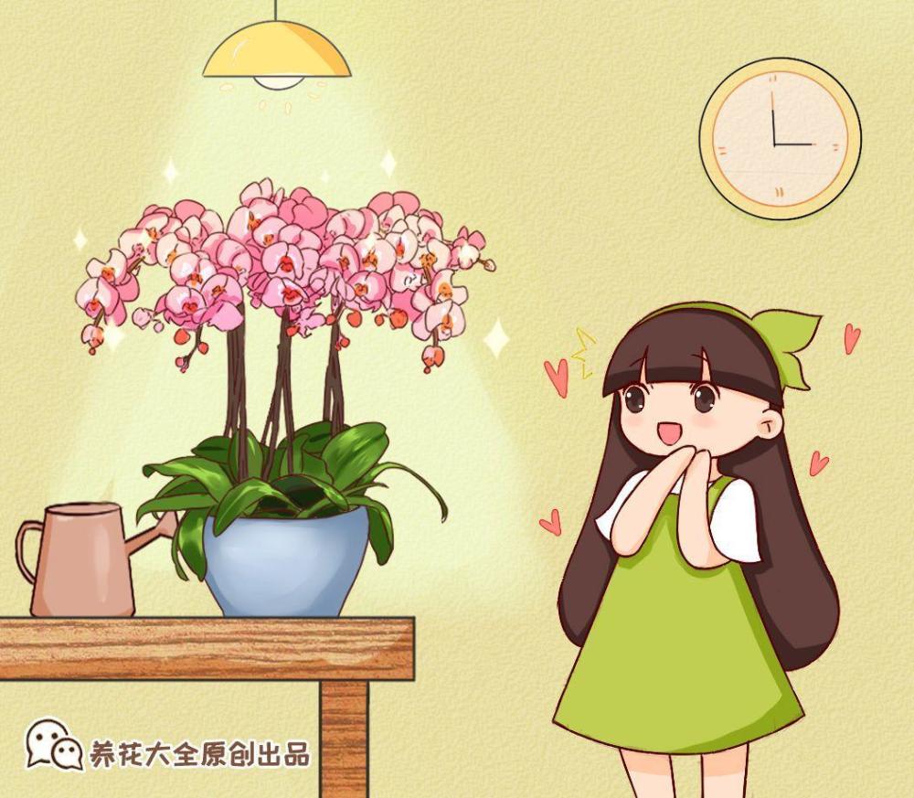 成语蕙什么兰心_书法蕙质兰心