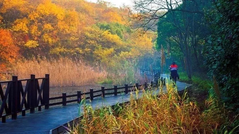 老山旅游景区规划总面积达112.
