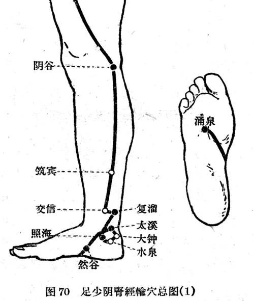 的母经肾经的本穴(与肾经五行属性相同的穴位),也就是肾经合穴:阴谷穴