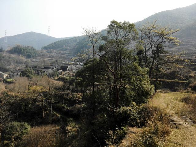 一个神奇的小山村—奉化区大堰镇南坑岙村