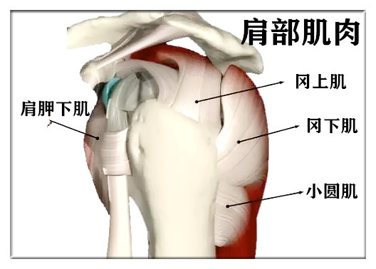 双侧搭肩试验怎么做_教师节贺卡怎么做(2)