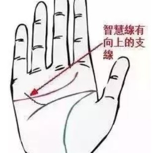 手掌有这种手相,必定成为富人