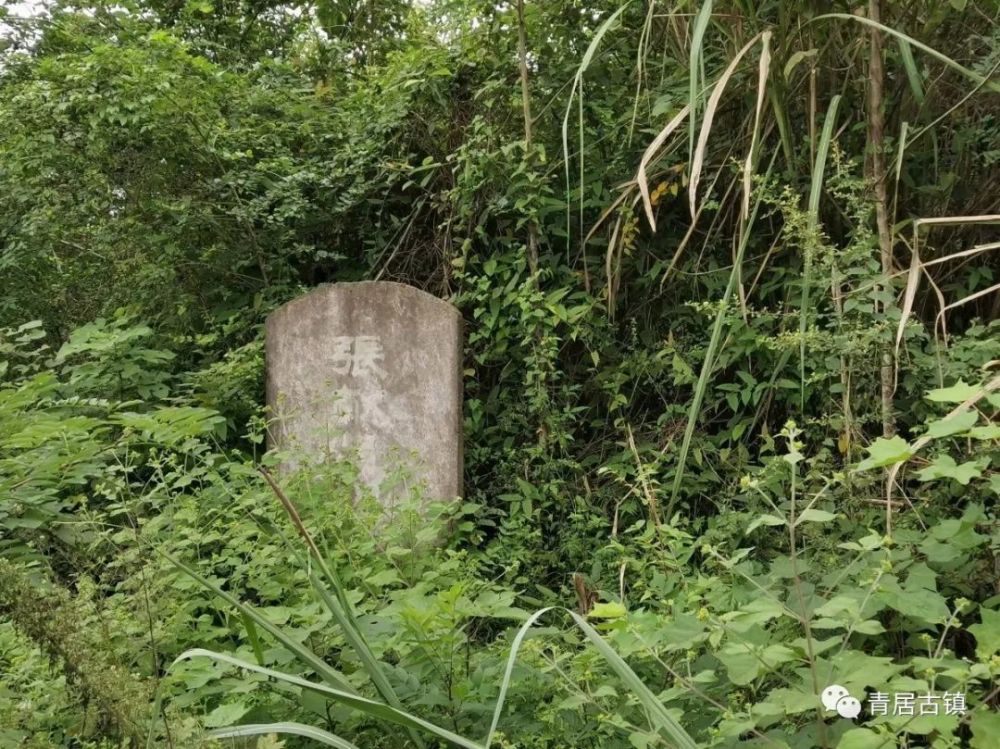 八大王剿四川,帽落青居山,客死西充凤凰山