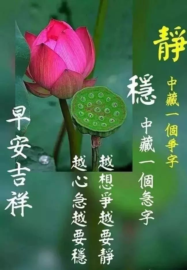 4月15日早安问候祝福语唯美动态图片,最好看早安祝福美图送给你