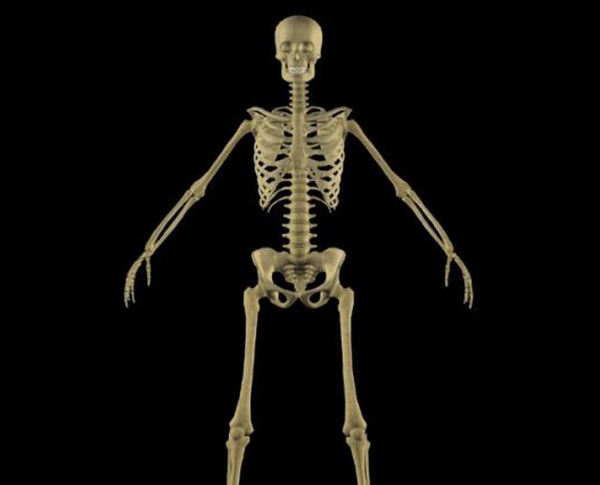 人类源于同一祖先,中国人却比欧美人少两块骨头,这是