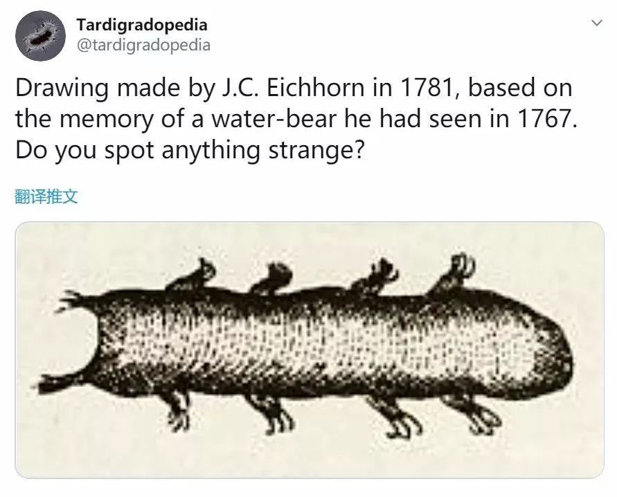 十八世纪科学家眼中的水熊虫长啥样?