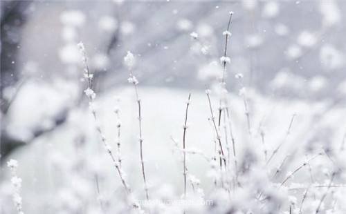 下雪天的心情说说唯美 下雪了的唯美句子朋友圈_腾讯新闻