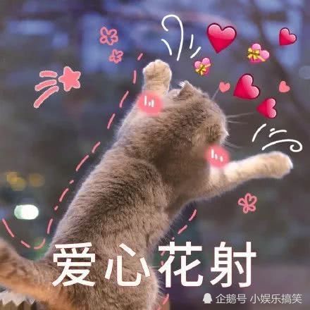 表情包:我已经放弃了,祝你幸福!