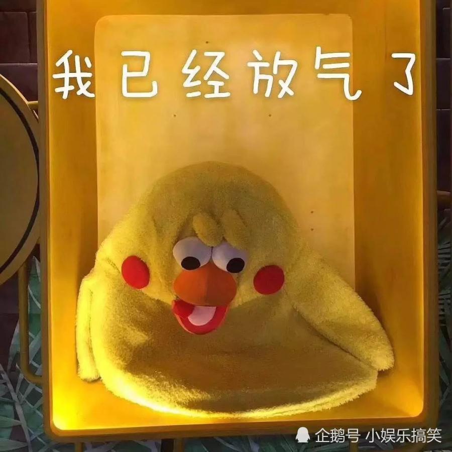 表情包:我已经放弃了,祝你幸福!