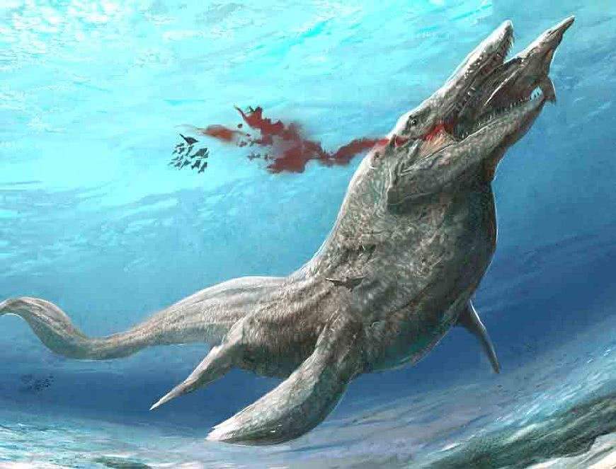 150万年前的巨齿鲨,在2013年出现在南非海域,这是真的