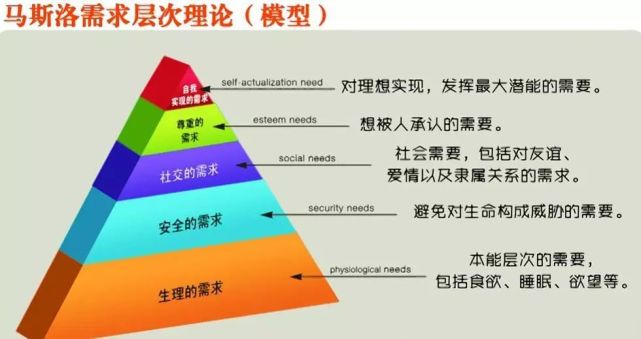 太可悲！体操冠军又因偷窃被抓，我却看出这是宿命？