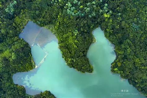 5km至佛手湖公园 这么多免费好玩的地方 就在家门口 南京人,还在等