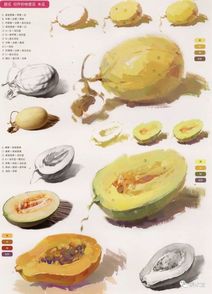 联考必备色彩静物水果单体临摹范本