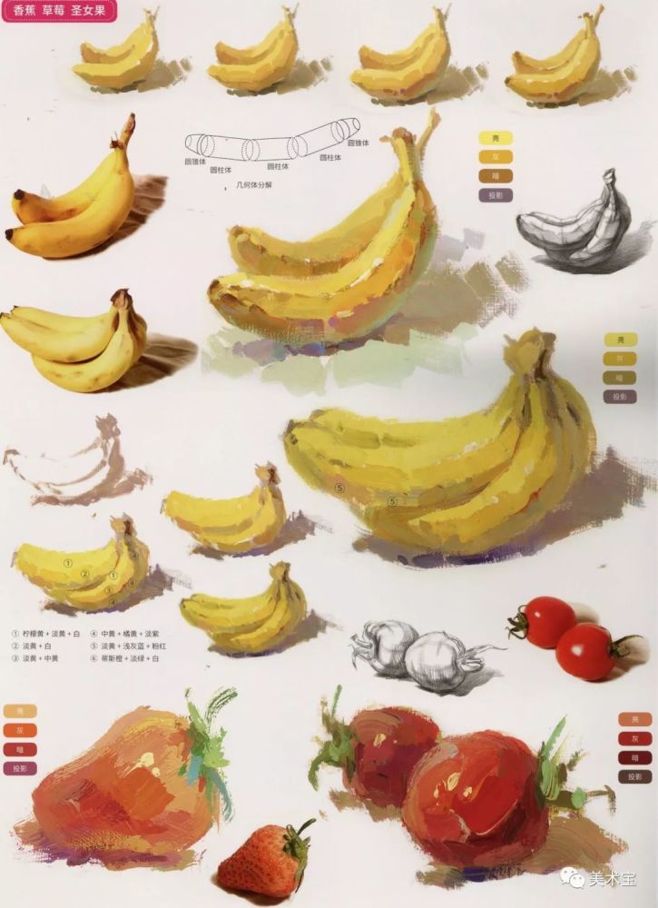 联考必备色彩静物水果单体临摹范本