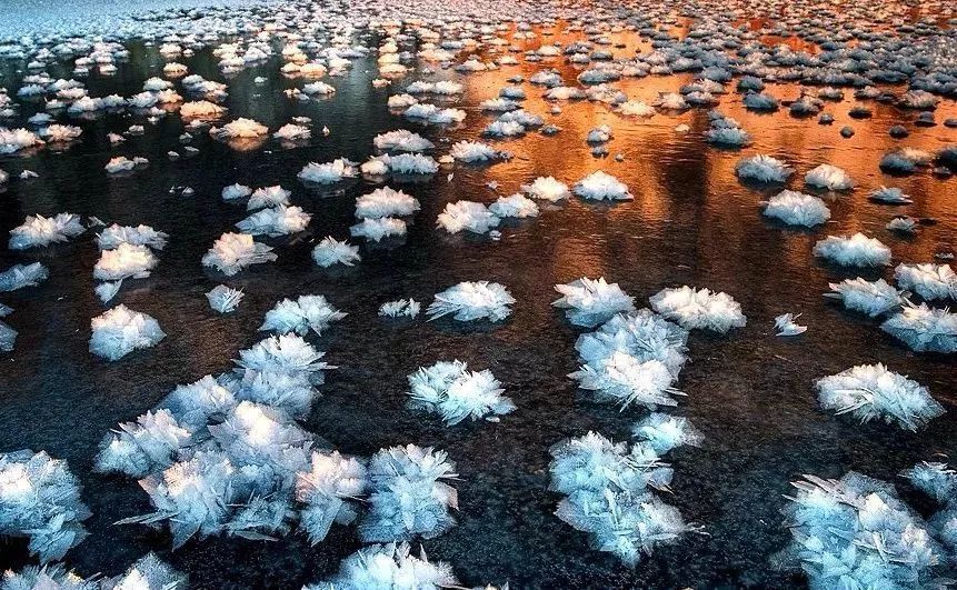 20-30度的极寒天气下,加拿大北冰洋的海面上盛开一朵朵美丽的"冰莲花"
