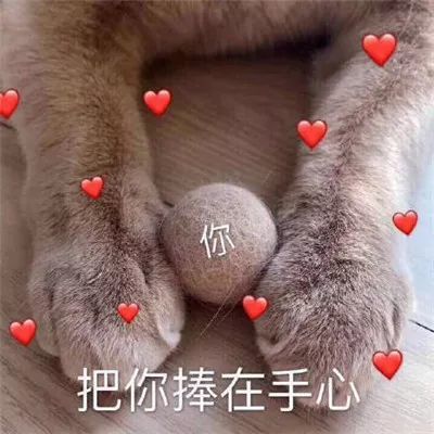 求对象撒娇表情包女生专用