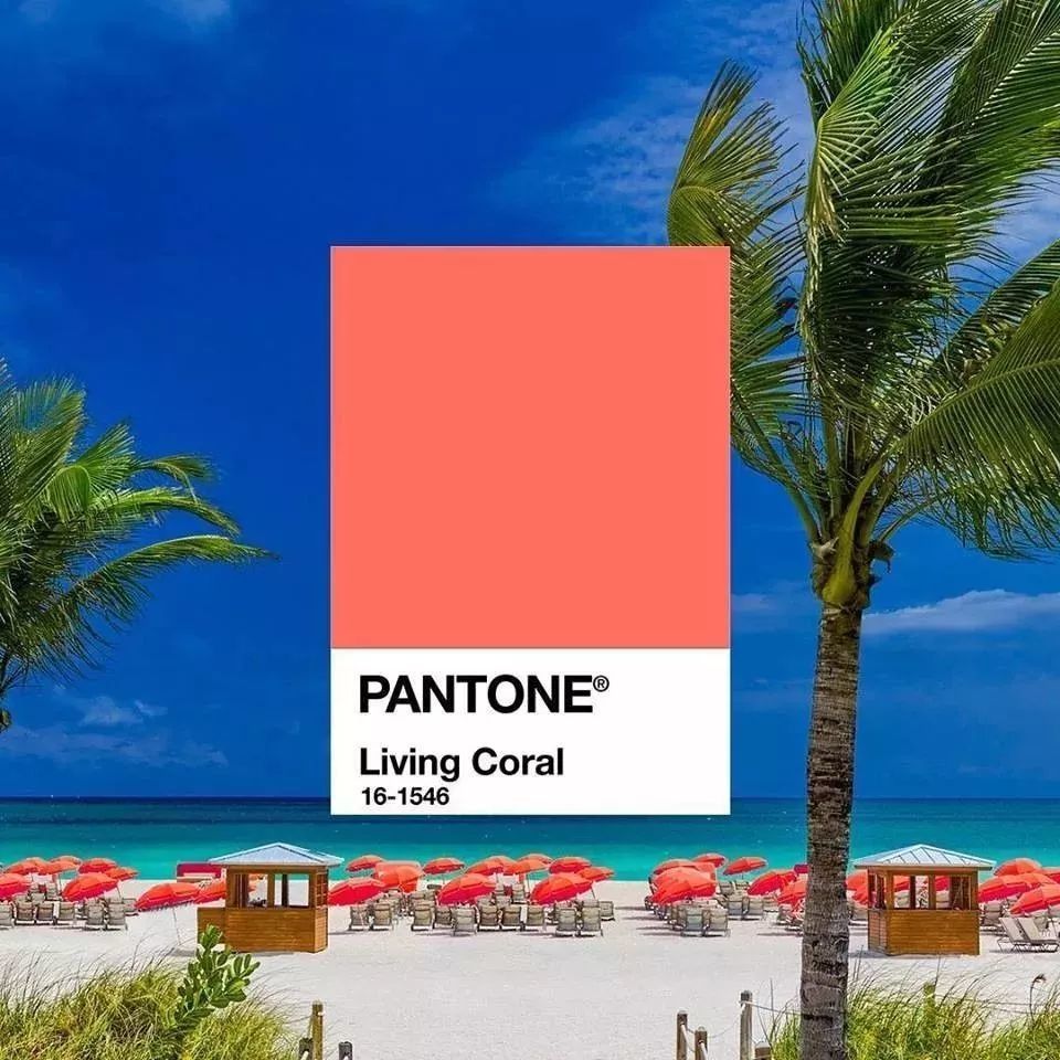 pantone流行色年度,pantone流行色历年 2018年度流行色: 紫外光(pantone 18-3838)