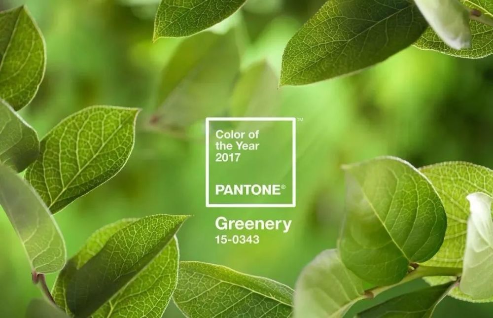 pantone潘通发布:全新流行色号"月经红",获赞20万!