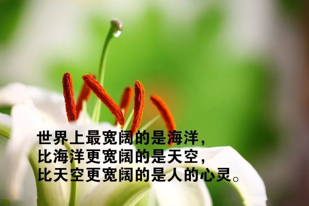 非常精辟的人生感悟哲理说说总有一句适合你