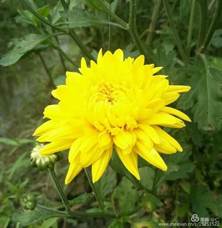 思念的雨——爸爸,您在天堂好吗