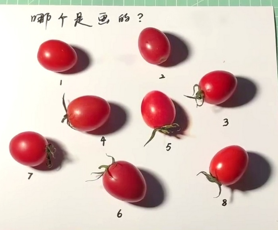 有一种考验"叫美术生画圣女果",成功的以假乱真,最后一个是粘上去的?