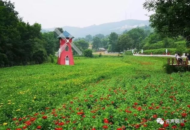 铜川将再添一国家4a级景区——宜君动漫花溪谷景区!